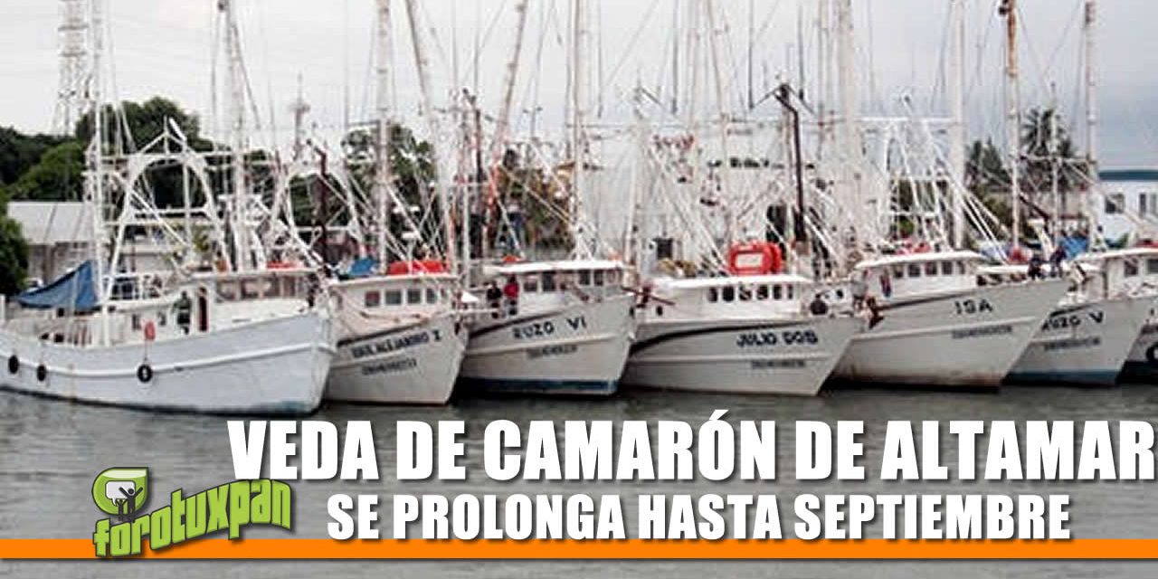 VEDA DE CAMARÓN DE ALTAMAR SE PROLONGA