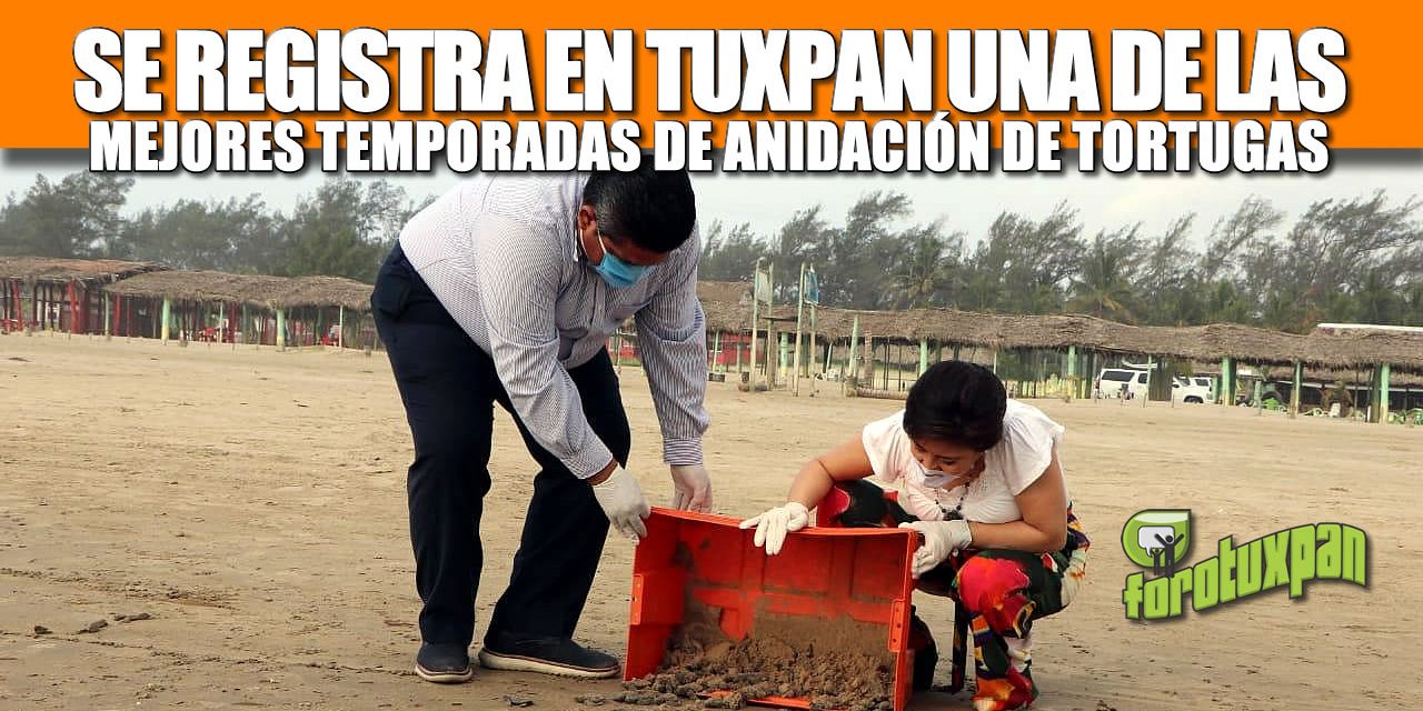 SE REGISTRA EN TUXPAN UNA DE LAS MEJORES TEMPORADAS DE ANIDACIÓN:TOÑO AGUILAR