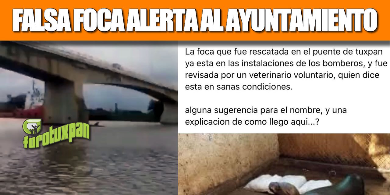Falsa FOCA alerta al ayuntamiento