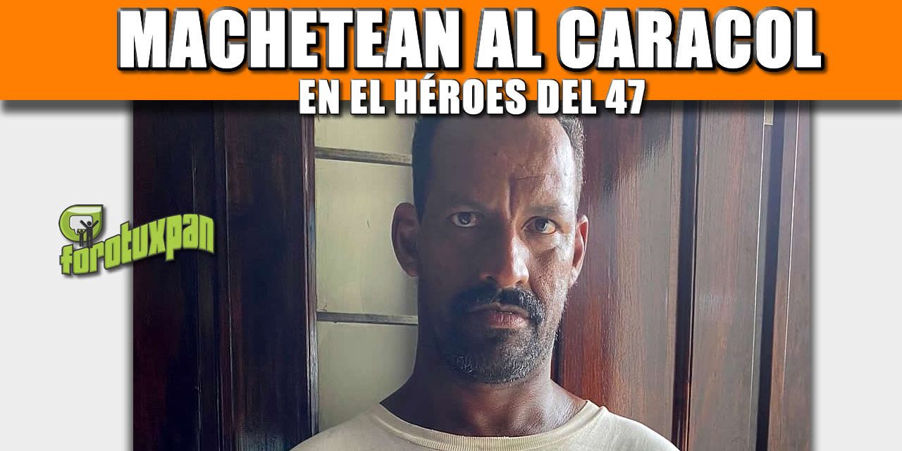 MACHETEAN AL CARACOL EN EL HÉROES DEL 47