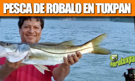 Pesca Deportiva de Robalo en Tuxpan Veracruz