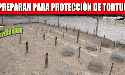 SE PREPARA GOBIERNO DE TUXPAN PARA PROTECCIÓN DE TORTUGAS, POR TEMPORADA DE ARRIBAZÓN