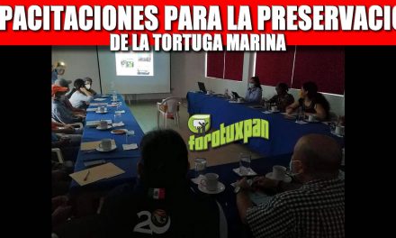 CAPACITACIONES PARA LA PRESERVACIÓN DE LA TORTUGA MARINA