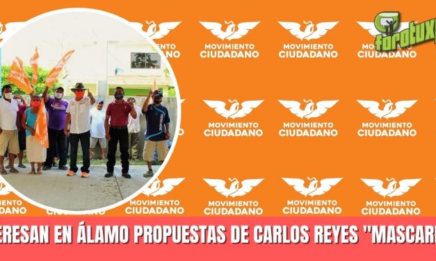 INTERESAN EN ÁLAMO PROPUESTAS DE CARLOS REYES «MASCAREÑAS»
