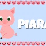 PIARA