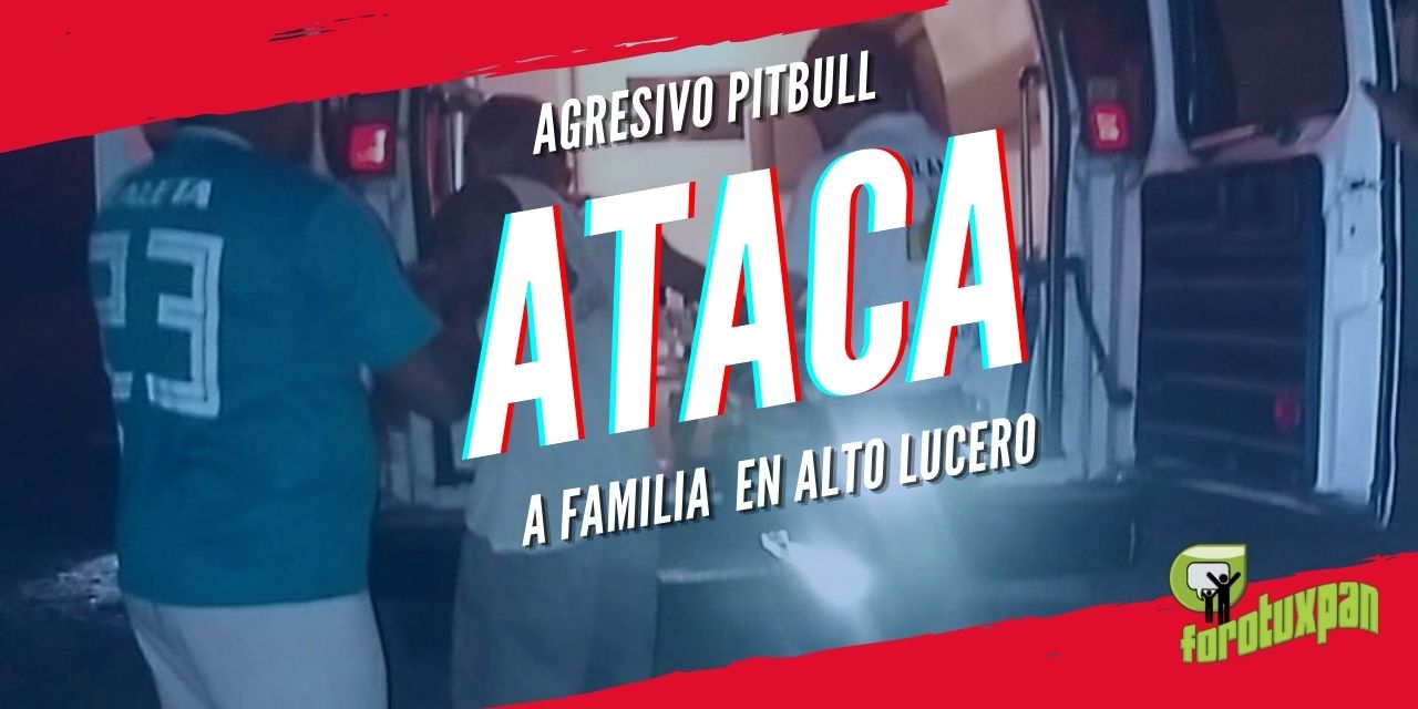 AGRESIVO PITBULL ATACA A FAMILIA ALTO LUCERO