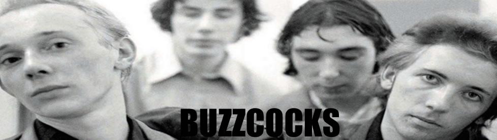 _smallrBUZZCOCKS757