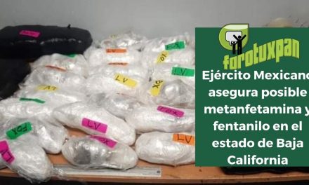 Ejército Mexicano asegura posible metanfetamina y fentanilo en el estado de Baja California