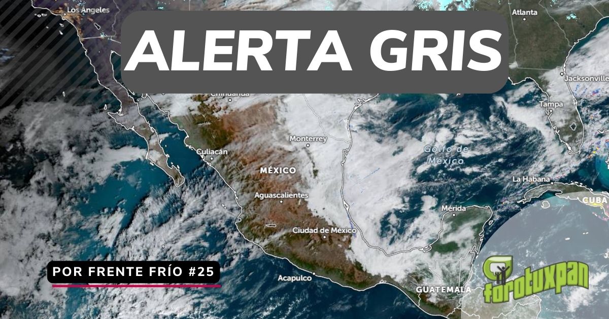 ALERTA GRIS