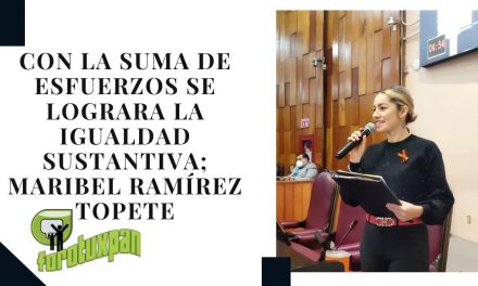 Con La Suma De Esfuerzos Se Lograra La Igualdad Sustantiva; Maribel Ramírez Topete