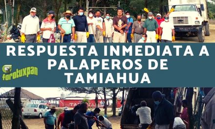 RESPUESTA INMEDIATA A PALAPEROS DE TAMIAHUA