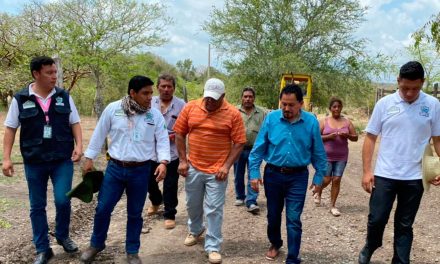 Naranjos: Rehabilitación del camino de acceso a la localidad de Ocampo