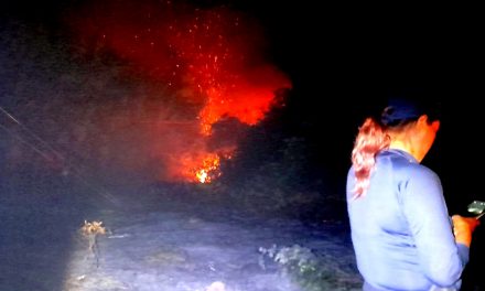 Tamiahua: Sofocan incendio en TANTALAMOS