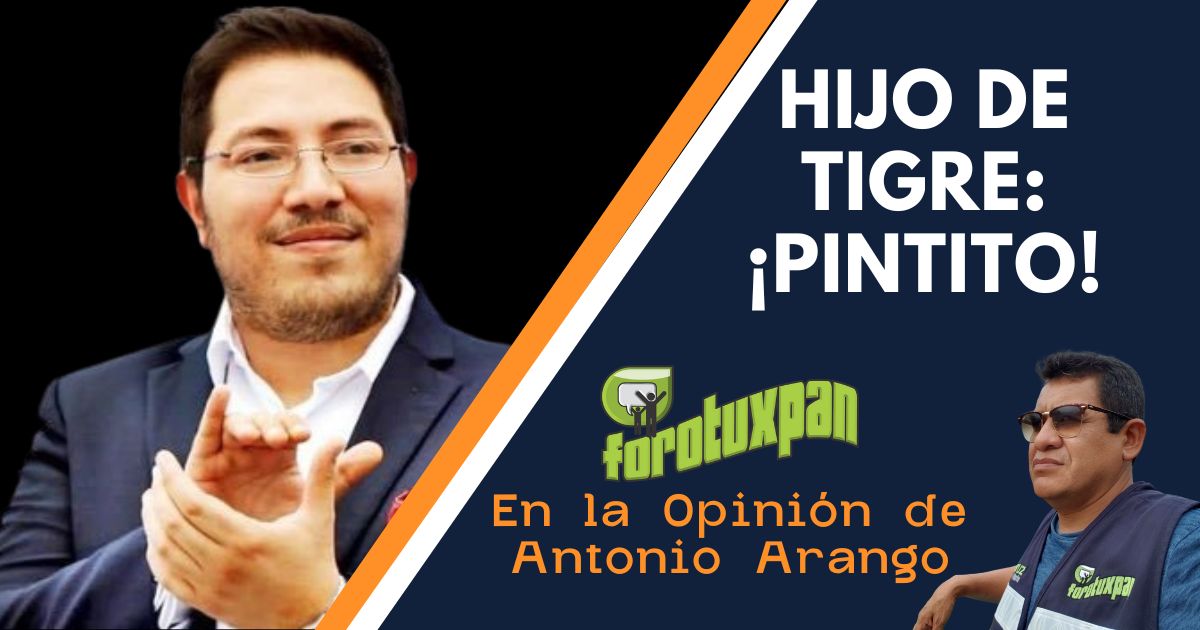 LOS PERROS ANDAN SUELTOS EN POZA RICA (11)