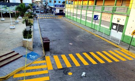 Tamiahua: Delimitación de cruces peatonales, zona de ascenso y descenso escolares