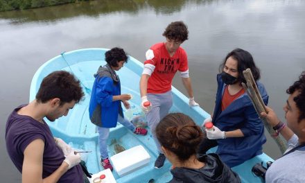 Tamiahua: Evaluación de parámetros fisicoquímicos en la Laguna de San Simón