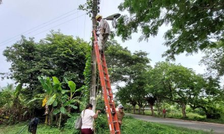 Tamiahua: Reparación de 5 lámparas
