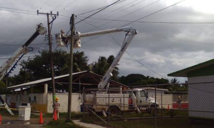 Tamiahua: CFE realiza trabajos de mantenimiento y reducción de riesgos por desastres naturales