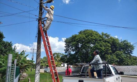 Tamiahua: Concluye el mantenimiento de luminarias en la col. independencia￼