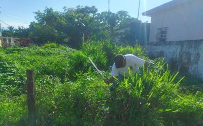 Tamiahua: Trabajos de limpieza de banquetas y guarniciones
