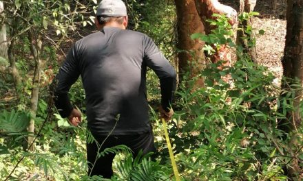 Tamiahua: Trabajos de apeo y deslindes en Papatlar