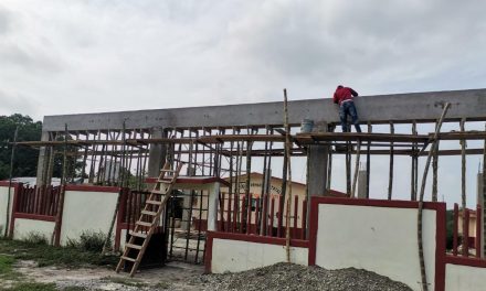 Tamiahua: Construcción de techado de escuela primaria en Dr. La Vista