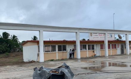 Tamiahua: Construcción de techado de escuela primaria en Tantalamos