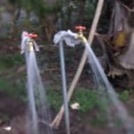Tamiahua: Seguimiento al Sistema de Agua Entubada de ExHacienda Dr. La Vista