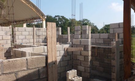 Tamiahua: Construcción de sanitarios en escuela primaria en Hormiguero