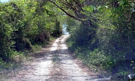Pobladores de San Marcos en Veracruz exigen urgentes mejoras en vía de acceso