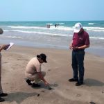Derrame de petróleo amenaza las playas de Tuxpan y Tamiahua