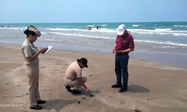 Derrame de petróleo amenaza las playas de Tuxpan y Tamiahua